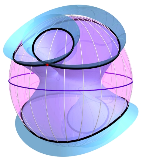 spherical conchoid