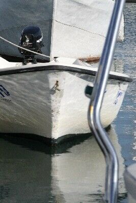 Click here for a bigger version of 'SYNOPHOTO_THUMB_B.jpg'
