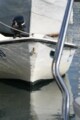 Click here for a bigger version of 'SYNOPHOTO_THUMB_S.jpg'