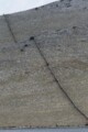 Click here for a bigger version of 'SYNOPHOTO_THUMB_S.jpg'