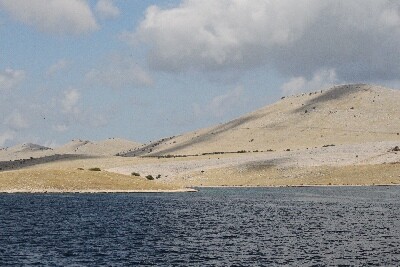 Click here for a bigger version of 'SYNOPHOTO_THUMB_XL.jpg'