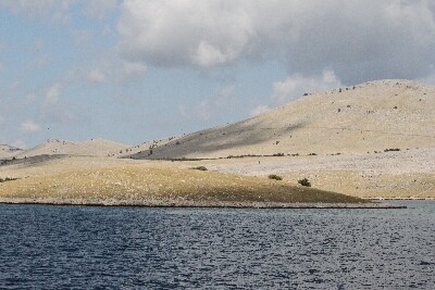 Click here for a bigger version of 'SYNOPHOTO_THUMB_XL.jpg'