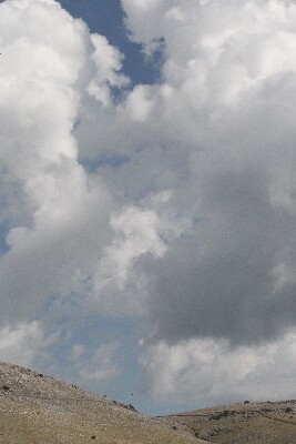 Click here for a bigger version of 'SYNOPHOTO_THUMB_XL.jpg'
