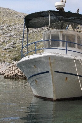 Click here for a bigger version of 'SYNOPHOTO_THUMB_XL.jpg'