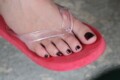 Click here for a bigger version of 'SYNOPHOTO_THUMB_S.jpg'