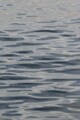 Click here for a bigger version of 'SYNOPHOTO_THUMB_S.jpg'