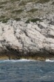 Click here for a bigger version of 'SYNOPHOTO_THUMB_S.jpg'