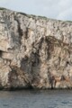 Click here for a bigger version of 'SYNOPHOTO_THUMB_S.jpg'
