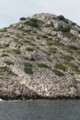Click here for a bigger version of 'SYNOPHOTO_THUMB_S.jpg'