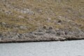 Click here for a bigger version of 'SYNOPHOTO_THUMB_S.jpg'