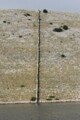 Click here for a bigger version of 'SYNOPHOTO_THUMB_S.jpg'
