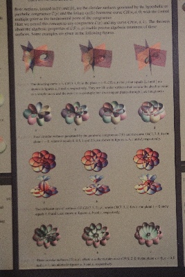Click here for a bigger version of 'C46D7596.JPG'