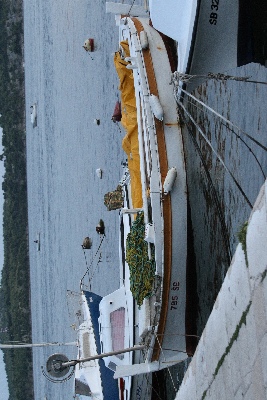 Click here for a bigger version of 'C46D6358.JPG'