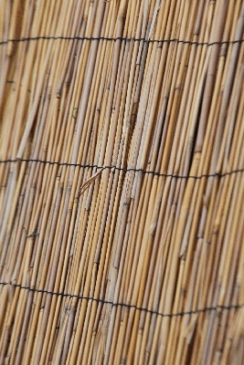Click here for a bigger version of 'C46D6585.JPG'