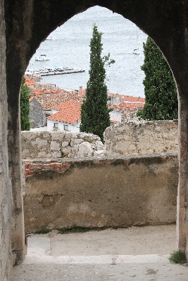 Click here for a bigger version of 'C46D9944.JPG'