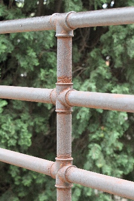 Click here for a bigger version of 'C46D9956.JPG'