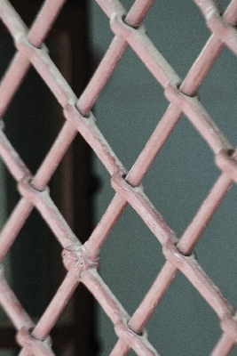 Click here for a bigger version of 'C46D9958.JPG'