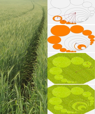 Click here for a bigger version of 'crop-circles.jpg'